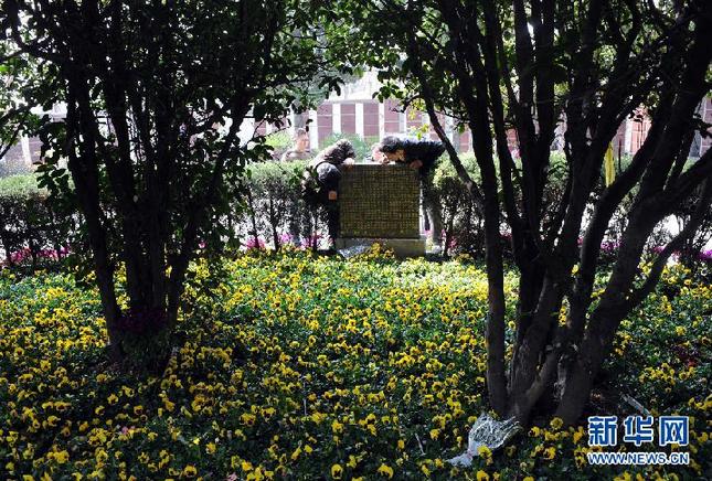 （社会）（1）南京功德园公墓推出生态树葬全免费惠民举措